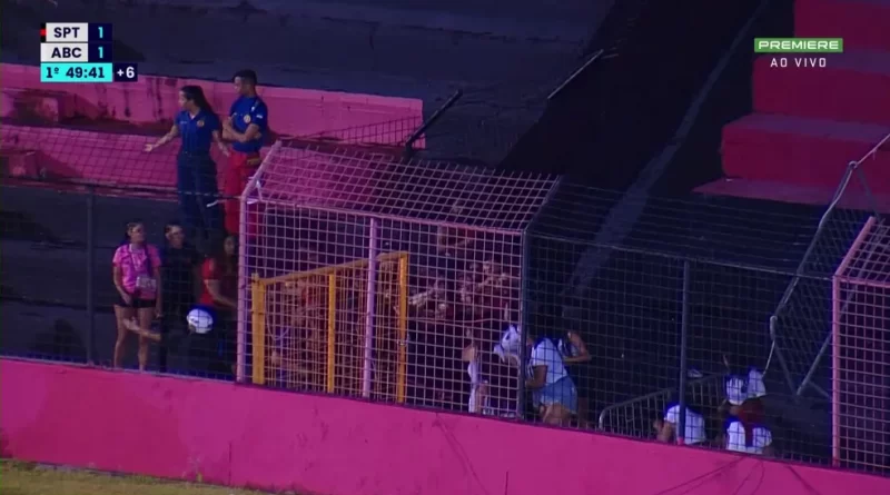 Torcida do Sport - Confusão