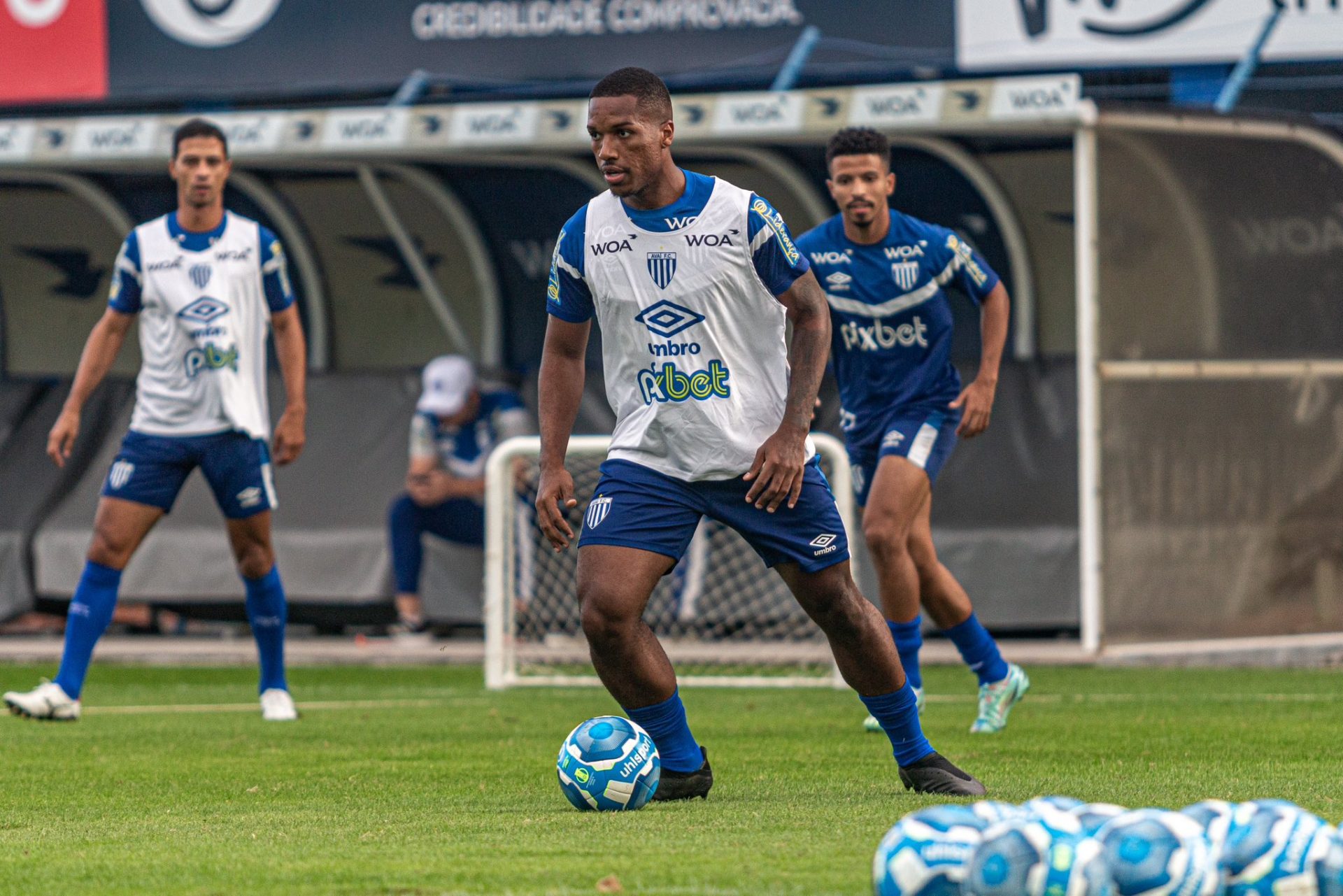 Sport Avaí Abre Preparação Para Enfrentar O Leão