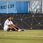 Sport no mercado