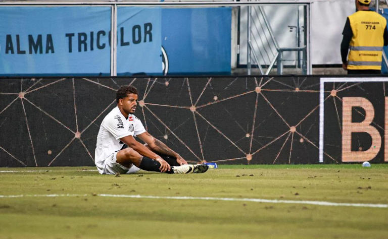 Sport no mercado