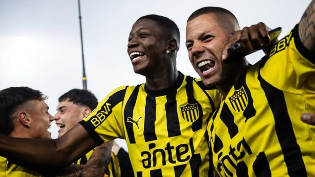 Sport no mercado