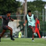 Pedro Martins, Sport