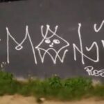 Muros da Ilha do Retiro, Sport